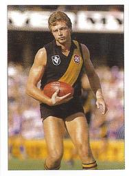 1990 Select AFL Stickers #197 Jeff Hogg Front